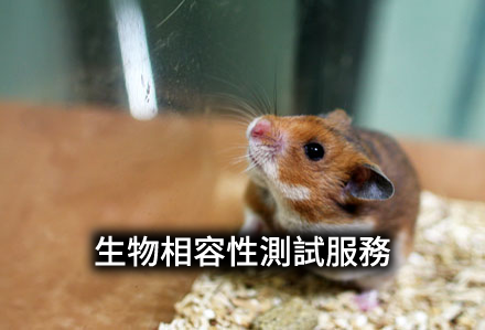 生物相容性測試服務
