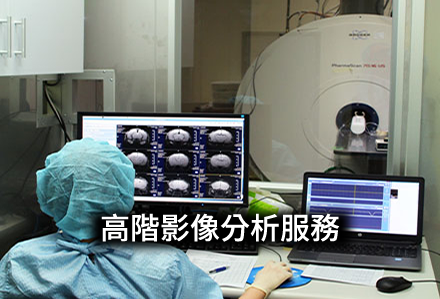 高階影像分析服務