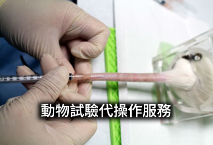 動物試驗代操作服務